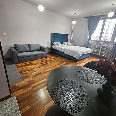 Central Sweet Apartment Self Check-In Timişoara Exterior foto